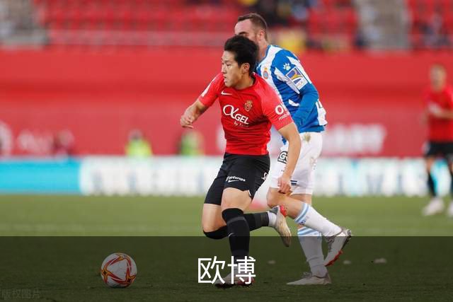 欧博企业介绍